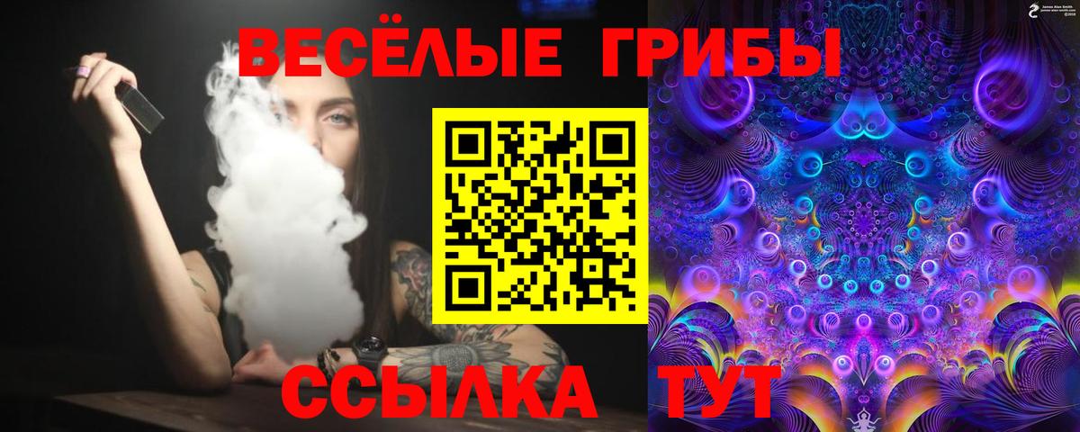 Галлюциногенные грибы Psilocybine cubensis Ликино-Дулёво